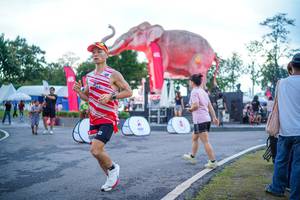 BIB: 
                            <button type="button" onclick="openModal(26551694)" class="btn btn-primary btn-sm float-right btn-popup" data-toggle="modal" data-target=".modal-high-quality">
                        <i class="fas fa-shopping-cart"></i> Add to Cart
                    </button>
                                            <button type="button" onclick="isThisMe(26551694, true)" class="btn btn-success btn-sm float-right btn-popup btn-isme hidden" data-toggle="tooltip" data-placement="bottom" title="นี่คือรูปของคุณใช่ไหม คลิกที่นี่เพื่อเอาเข้าอัลบั้ม">
                        <i class="fas fa-plus"></i> Add to album
                    </button>
                    <button type="button" onclick="isThisMe(26551694, false)" class="btn btn-warning btn-sm float-right btn-popup btn-isnotme hidden">
                        <i class="fas fa-ban"></i> Remove from album
                    </button>